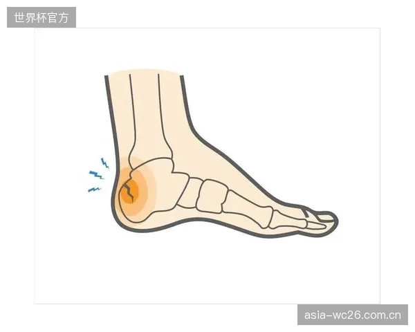 琼阿梅尼受伤早有预警,其赛季末段的疲劳累积是导致应力性骨折的主因。 琼阿梅尼受伤早有预警,其赛季末段的疲劳累积是导致应力性骨折的主因。