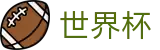 FIFA 2026世界杯官方平台 | 精彩赛事尽在世界杯